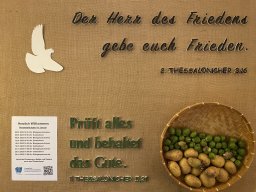 januar-2025_1_20250101_1139624784